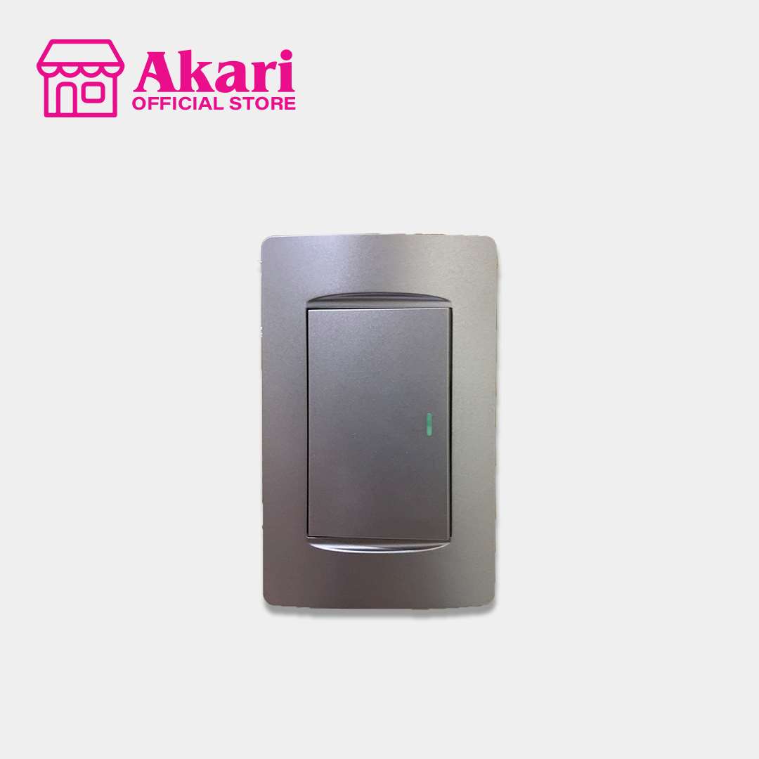 Akari 1 Gang 1 Way Switch with Luminous (AWD-Z8101-1(S) – Akari.store